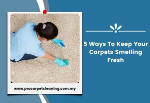 5 Ways To Keep Your Carpets Smelling Fresh