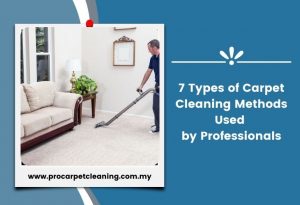 7 Types of Carpet Cleaning Methods Used by Professionals