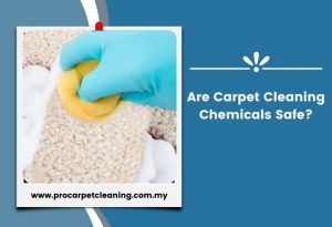 Are Carpet Cleaning Chemicals Safe