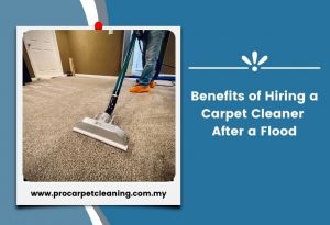 Benefits of Hiring a Carpet Cleaner After a Flood