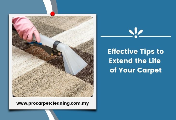 Effective Tips to Extend the Life of Your Carpet