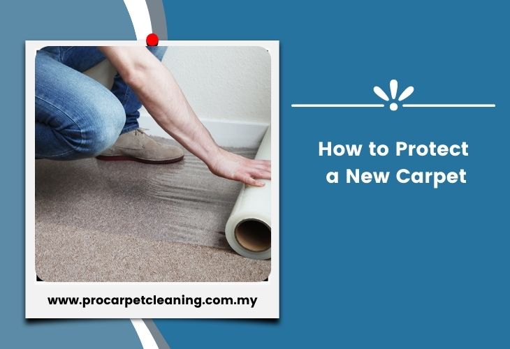 How to Protect a New Carpet