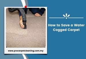 How to Save a Water Cogged Carpet
