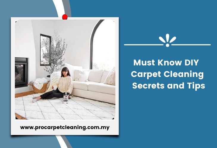 Must Know DIY Carpet Cleaning Secrets and Tips