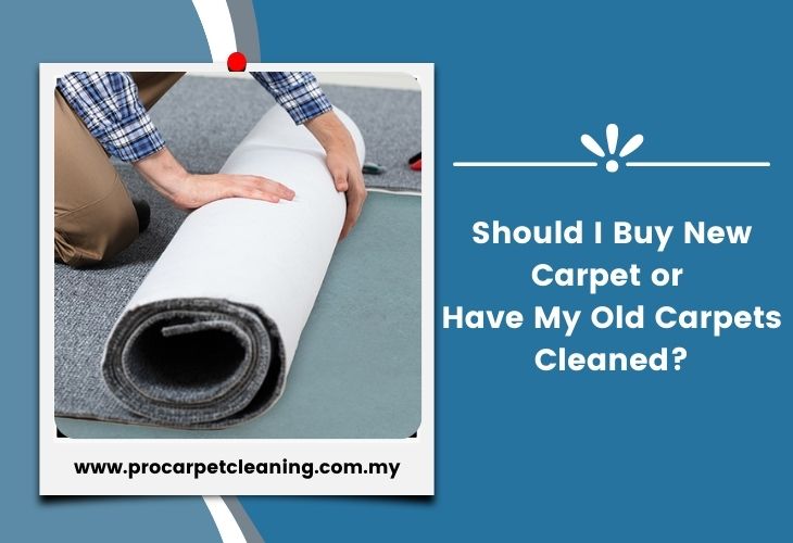Should I Buy New Carpet or Have My Old Carpets Cleaned