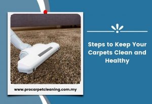 Steps to Keep Your Carpets Clean and Healthy