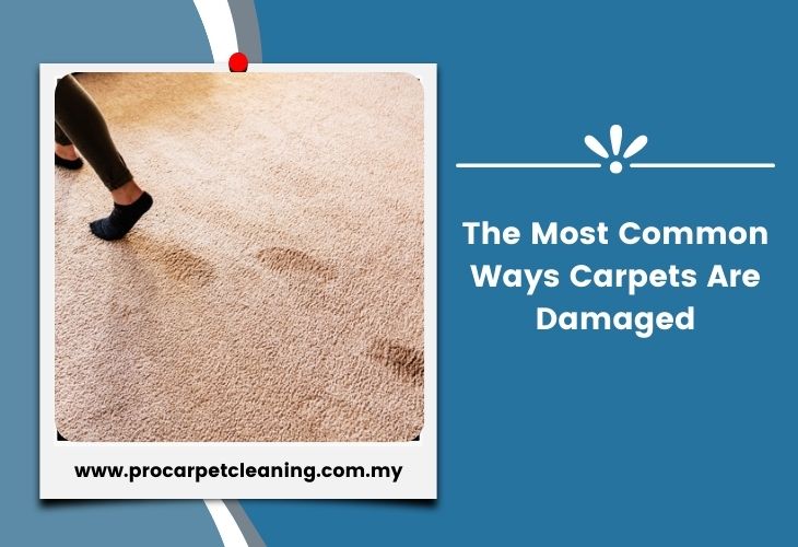 The Most Common Ways Carpets Are Damaged