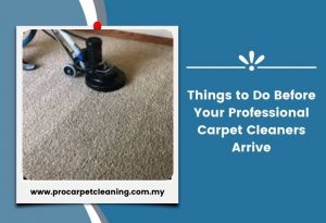 Things to Do Before Your Professional Carpet Cleaners Arrive