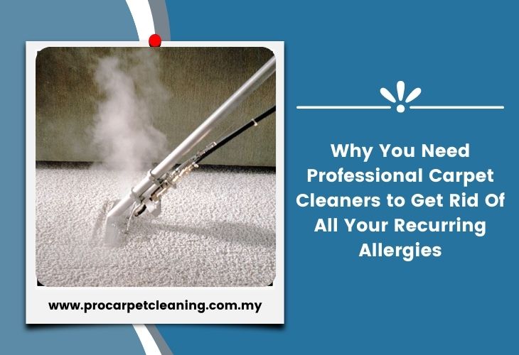 Why You Need Professional Carpet Cleaners to Get Rid Of All Your Recurring Allergies