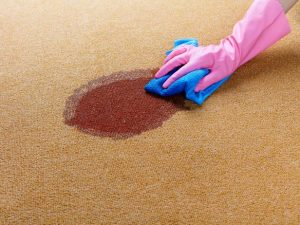 cleaning carpets
