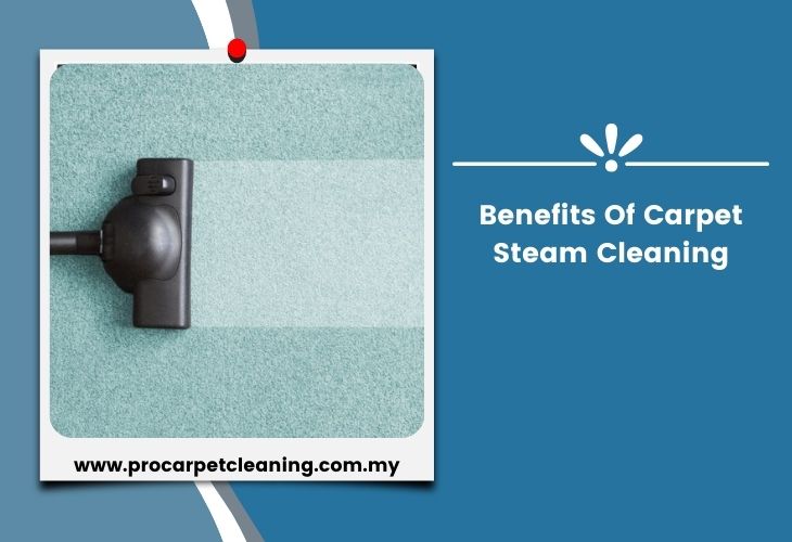 Benefits Of Carpet Steam Cleaning