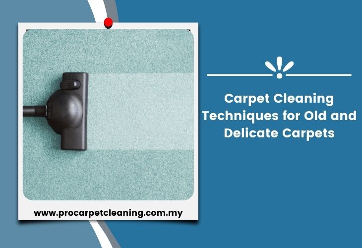 Carpet Cleaning Techniques for Old and Delicate Carpets